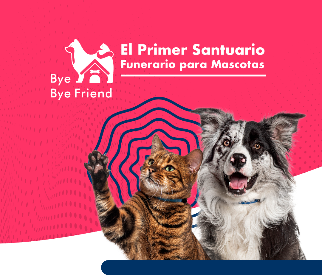Banner Móvil