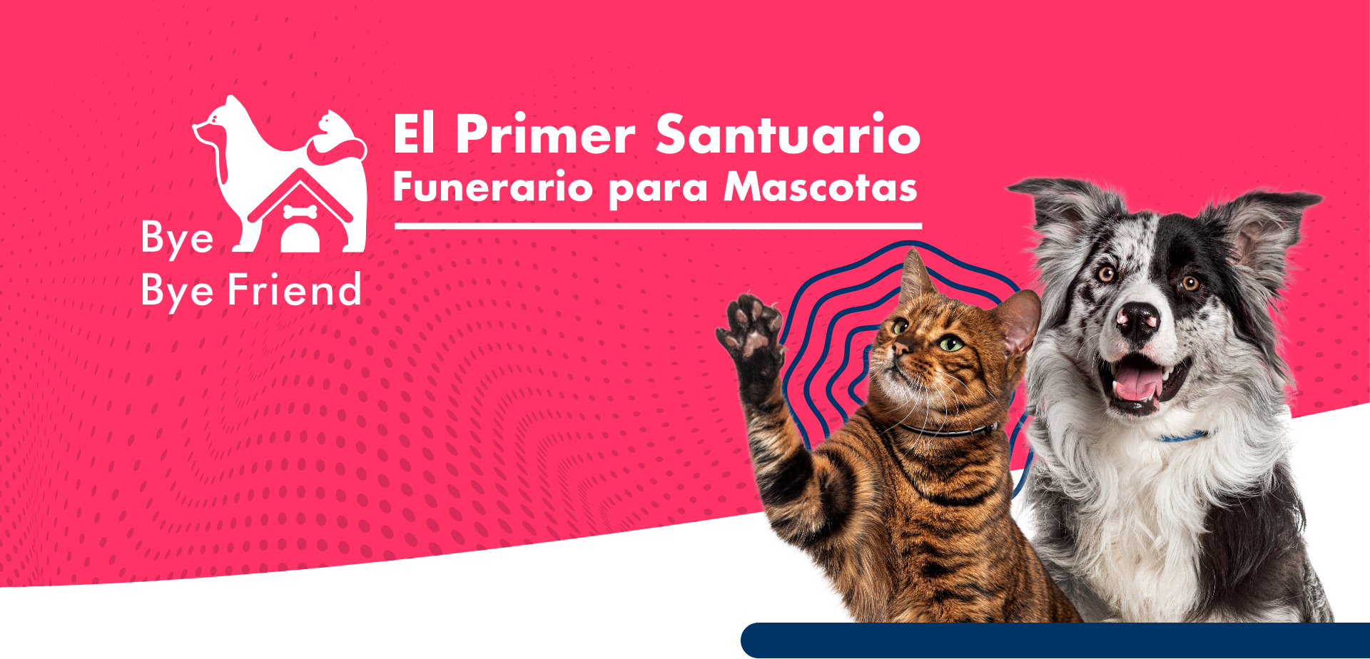 Banner Desktop